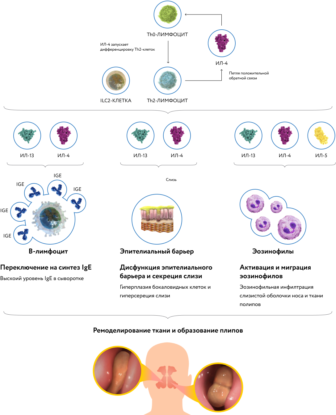 schema-img