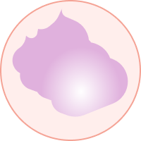 Молекула